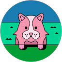 moplingqq profile picture