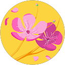 Sakura Hana profile picture