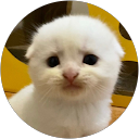 Øxiidance profile picture